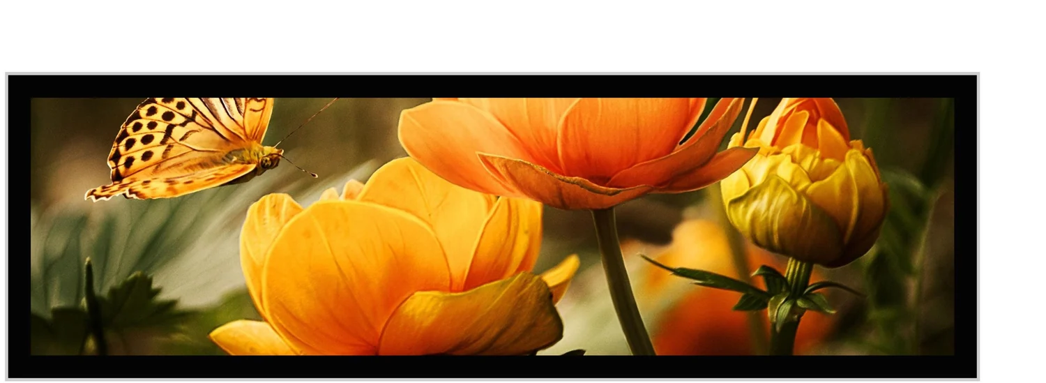 Ultra-wide stretched bar LCD panel for elevator, transit and retail shelf-edge use